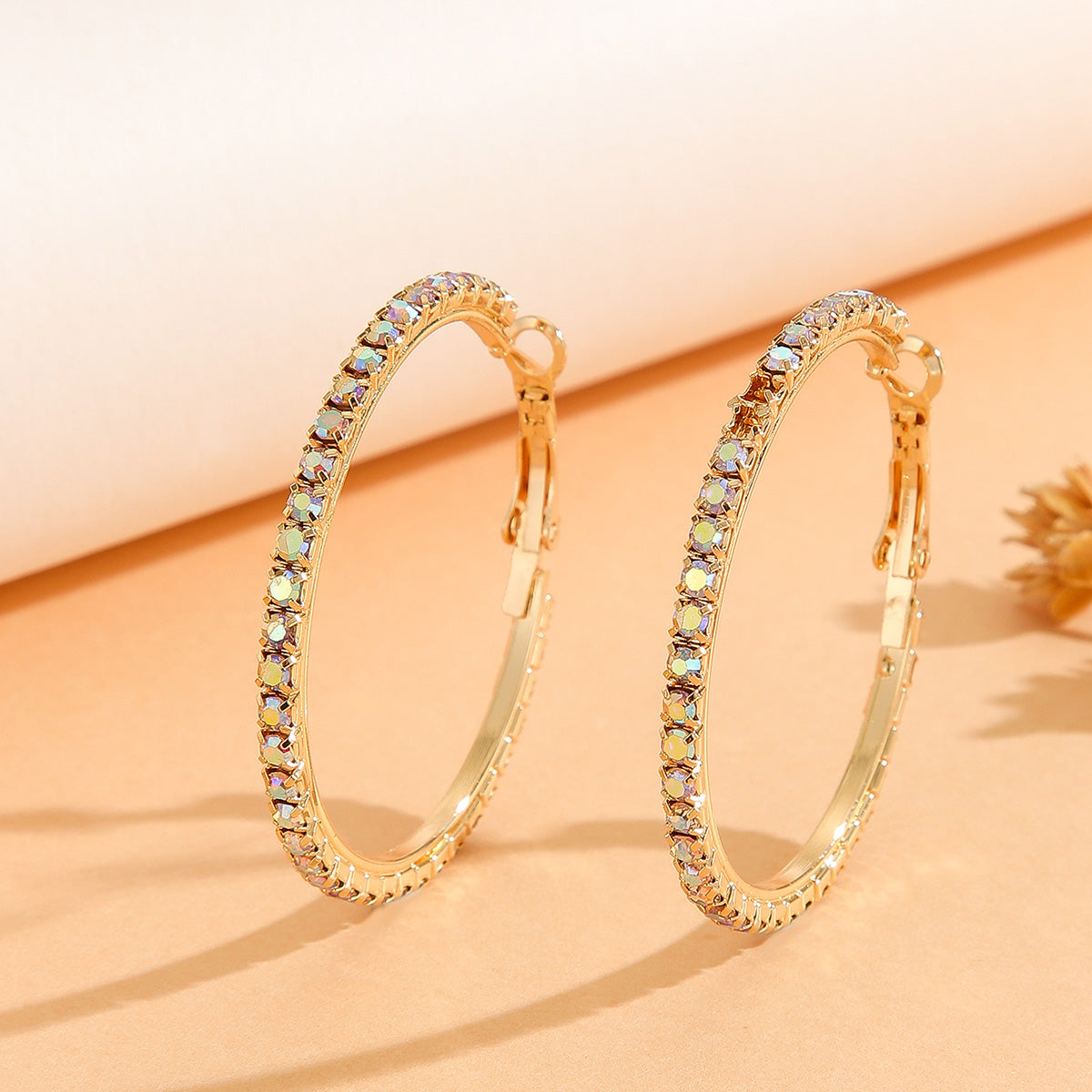 Princess Style Large Earrings
