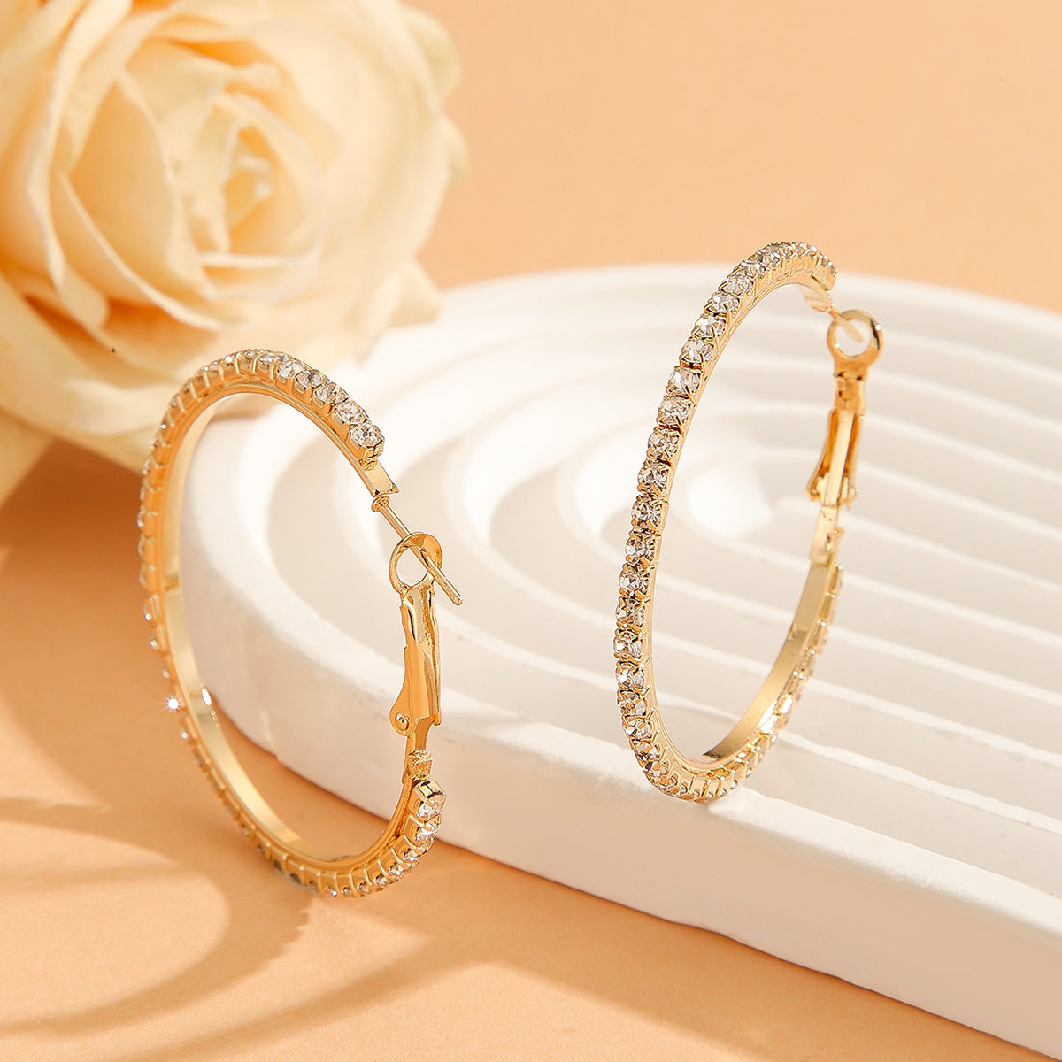 Princess Style Large Earrings