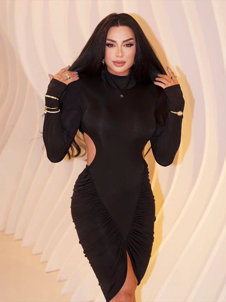Turtleneck Full Sleeve Mini Dress