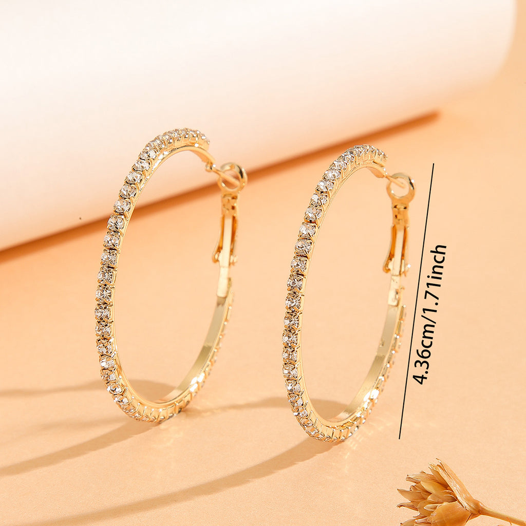 Princess Style Large Earrings